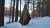 EASY Under quilt green poncho.jpg