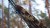 EASY Under quilt tensioning system.jpg