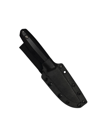 IMG_0621.PNG.webp