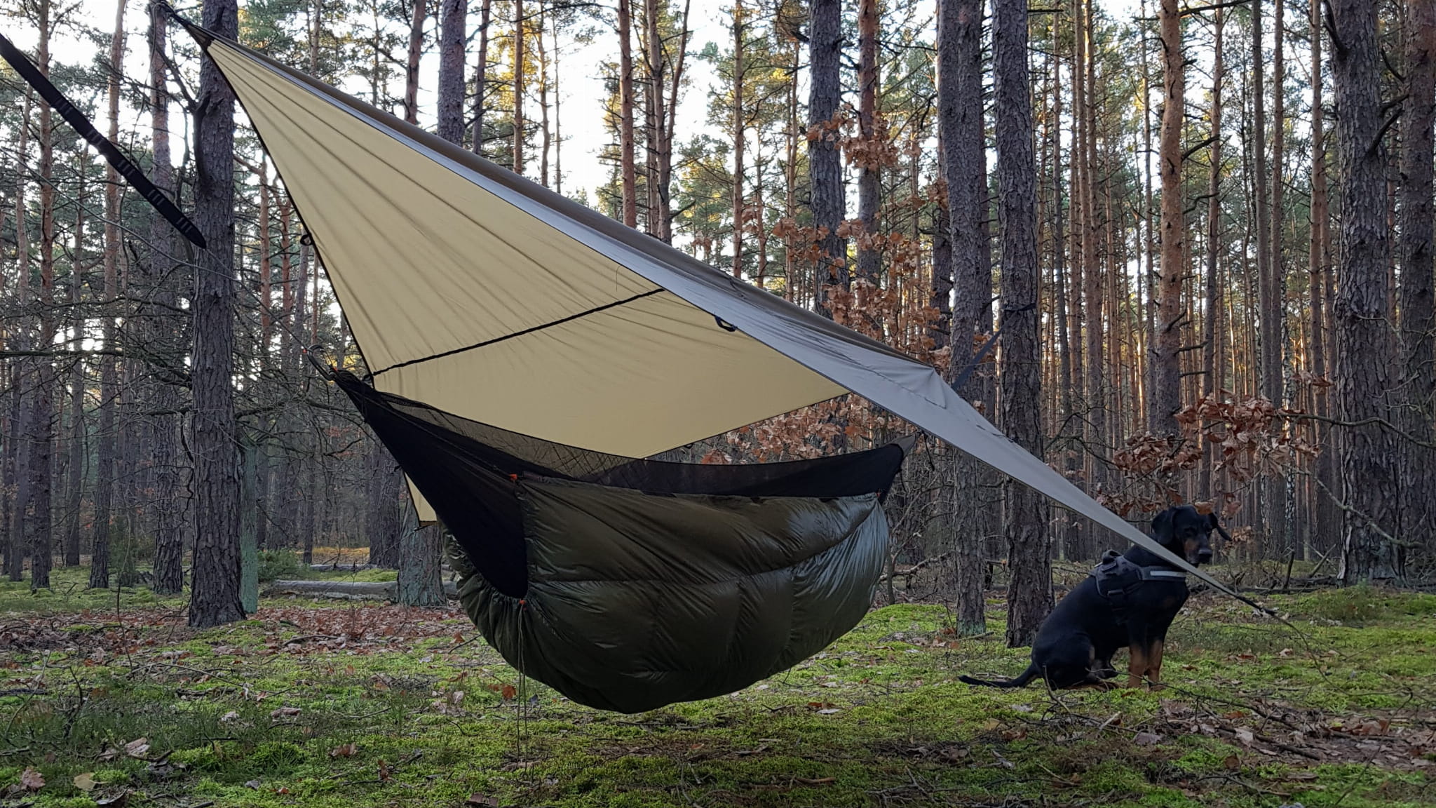 Ultralight set.jpg